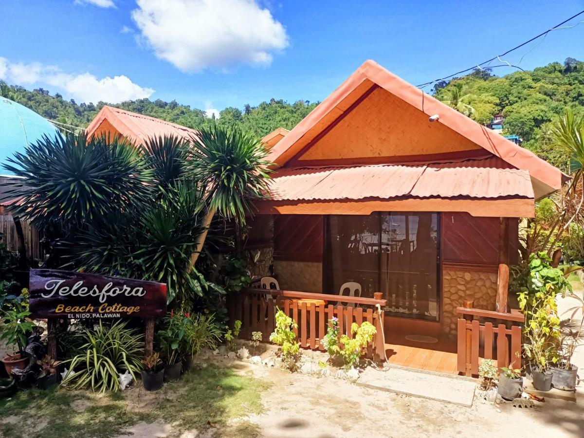 Telesfora Beach Cottage El Nido Bagian luar foto